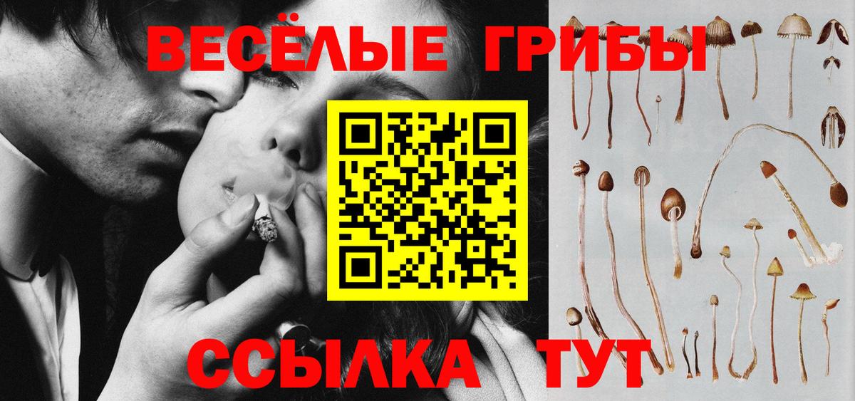 Кропоткин  Псилоцибиновые грибы ЛСД  Вход с VPN  Псилоцибиновые грибы ЛСД 