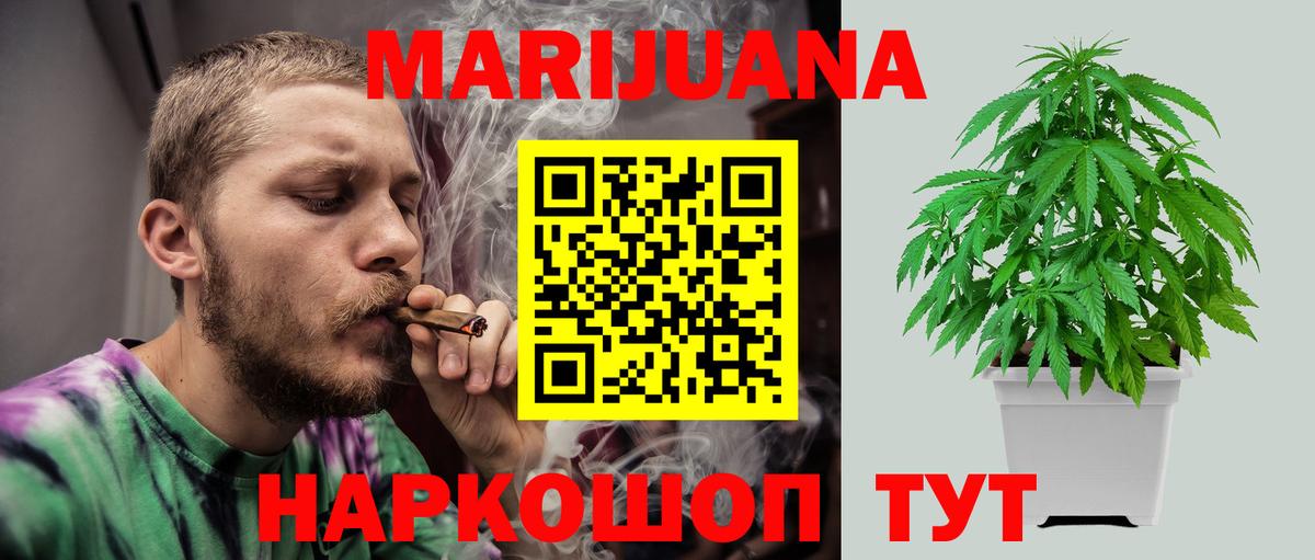 Бошки марихуана план  Каннабис сатива  Канабис ГИДРОПОН  Вход с VPN  Кропоткин 